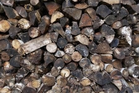 Typical wet seasoned firewood