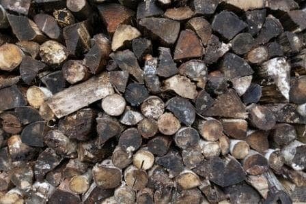 Seasoned firewood: darker, weathered, higher moisture